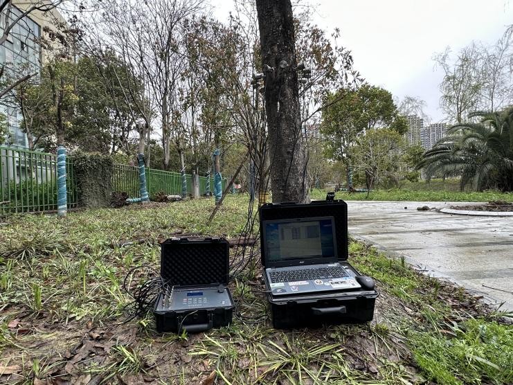 树木诊断中要注意哪些问题,树木健康监测与日常养护