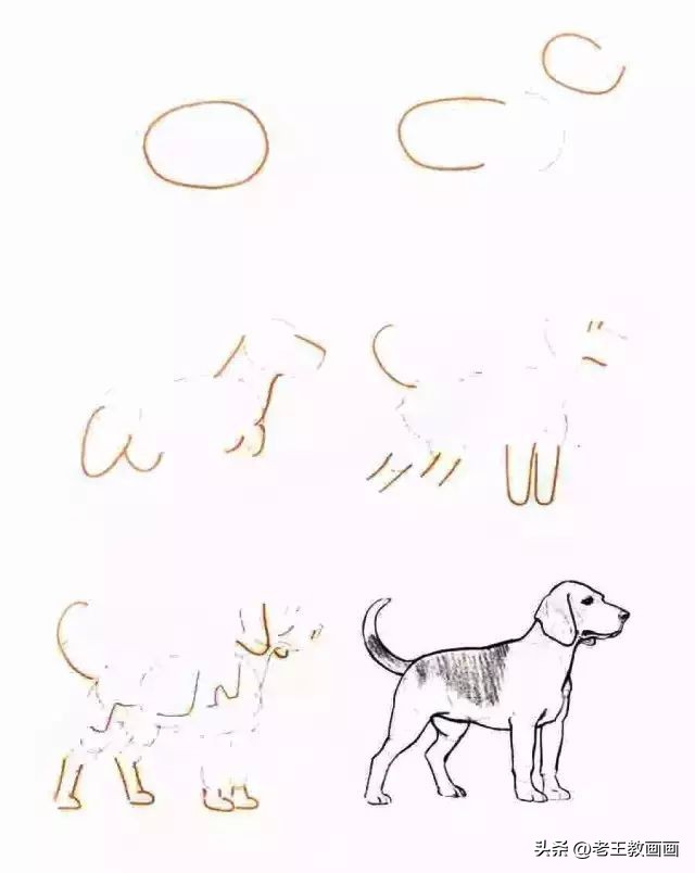 简单易学的简笔画学起来教孩子吧,二分钟教会孩子简笔画赶紧学起来