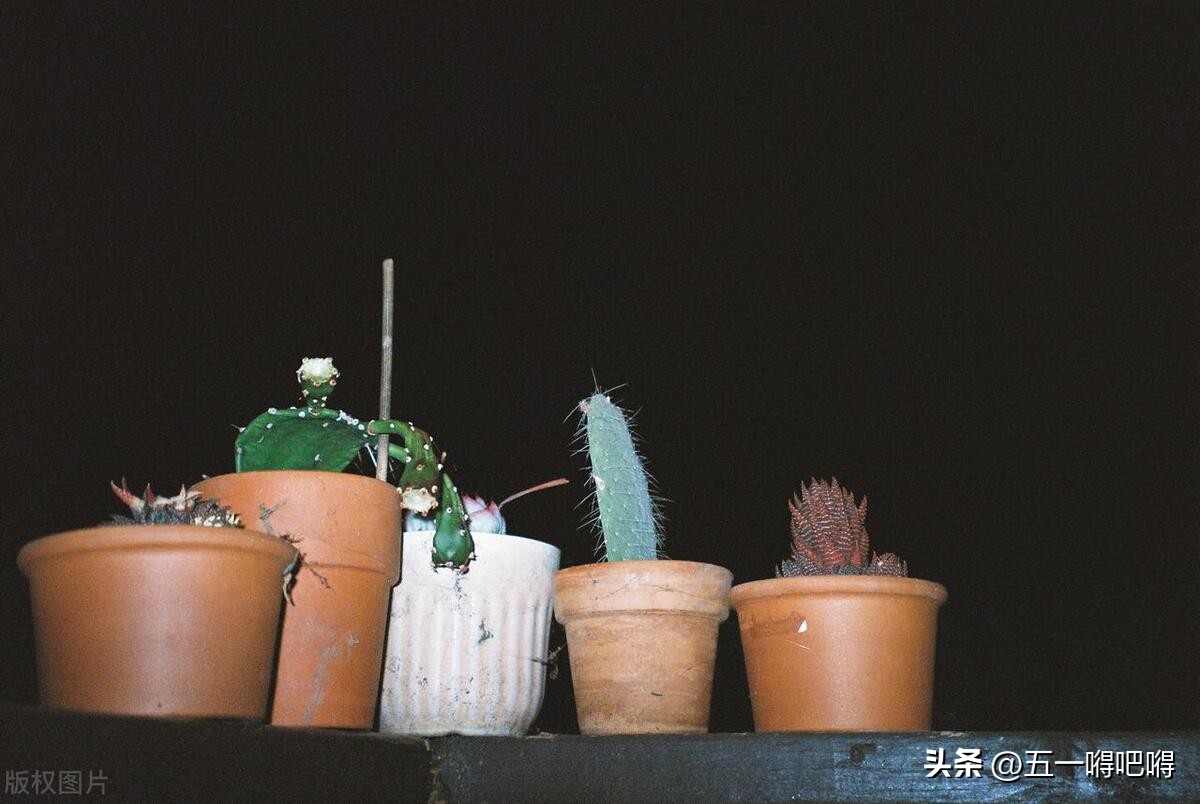 为什么越长大越难有心动的感觉,为什么年龄越大对新事物越抗拒