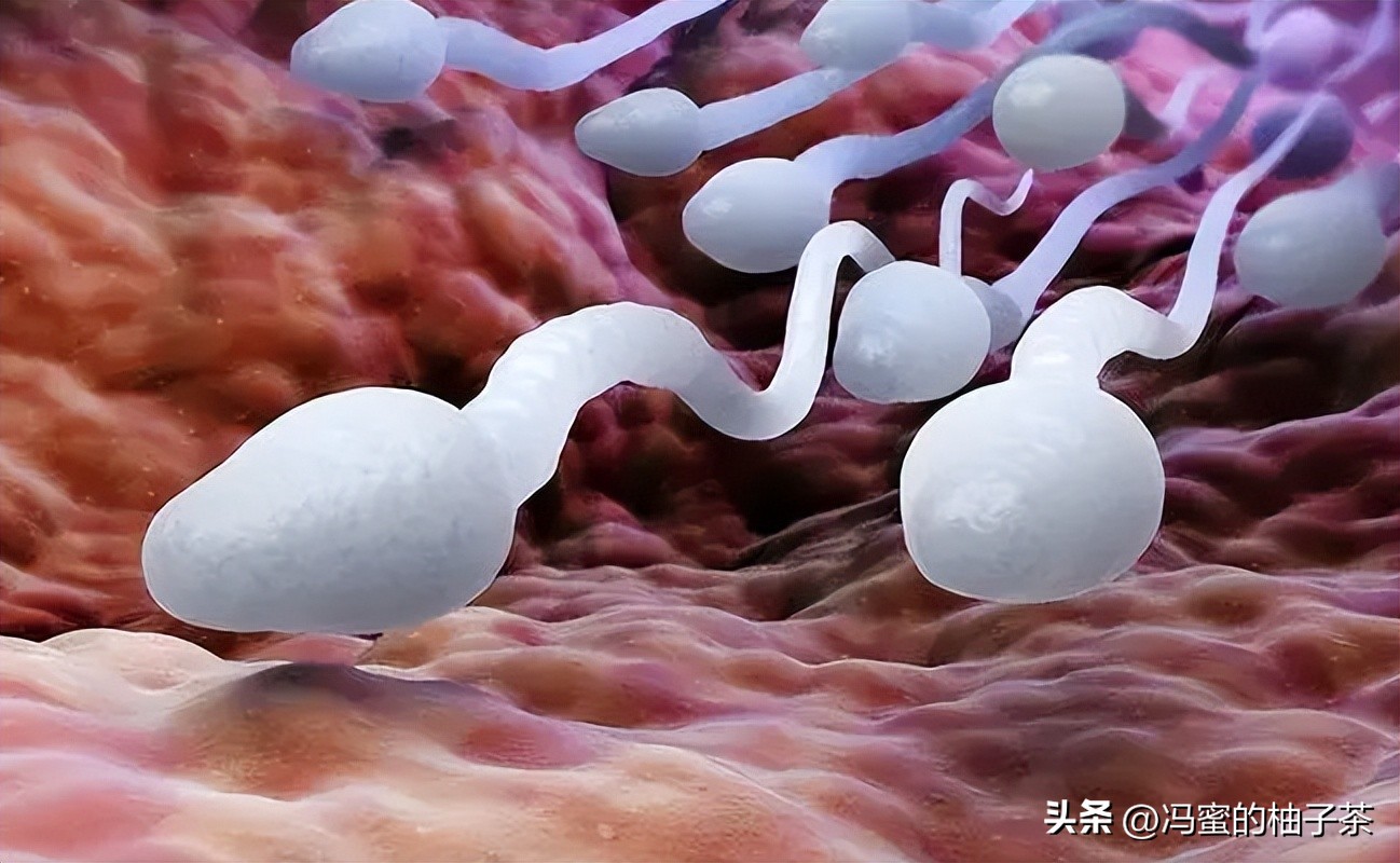 孩子长得像前女友有科学依据吗,孩子长得像老公但不是老公的