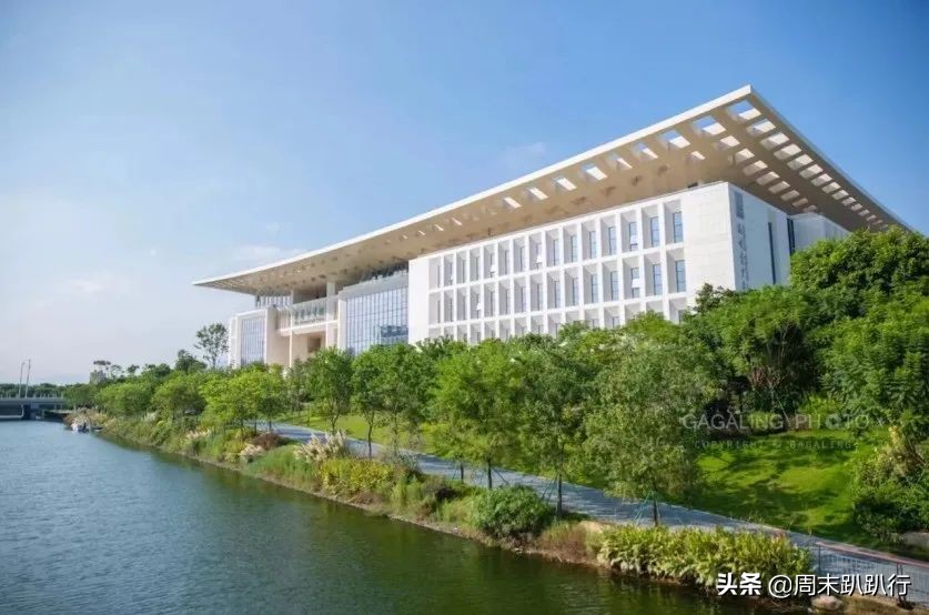 图书馆遛娃避暑好去处,图书馆夏天遛娃好地方