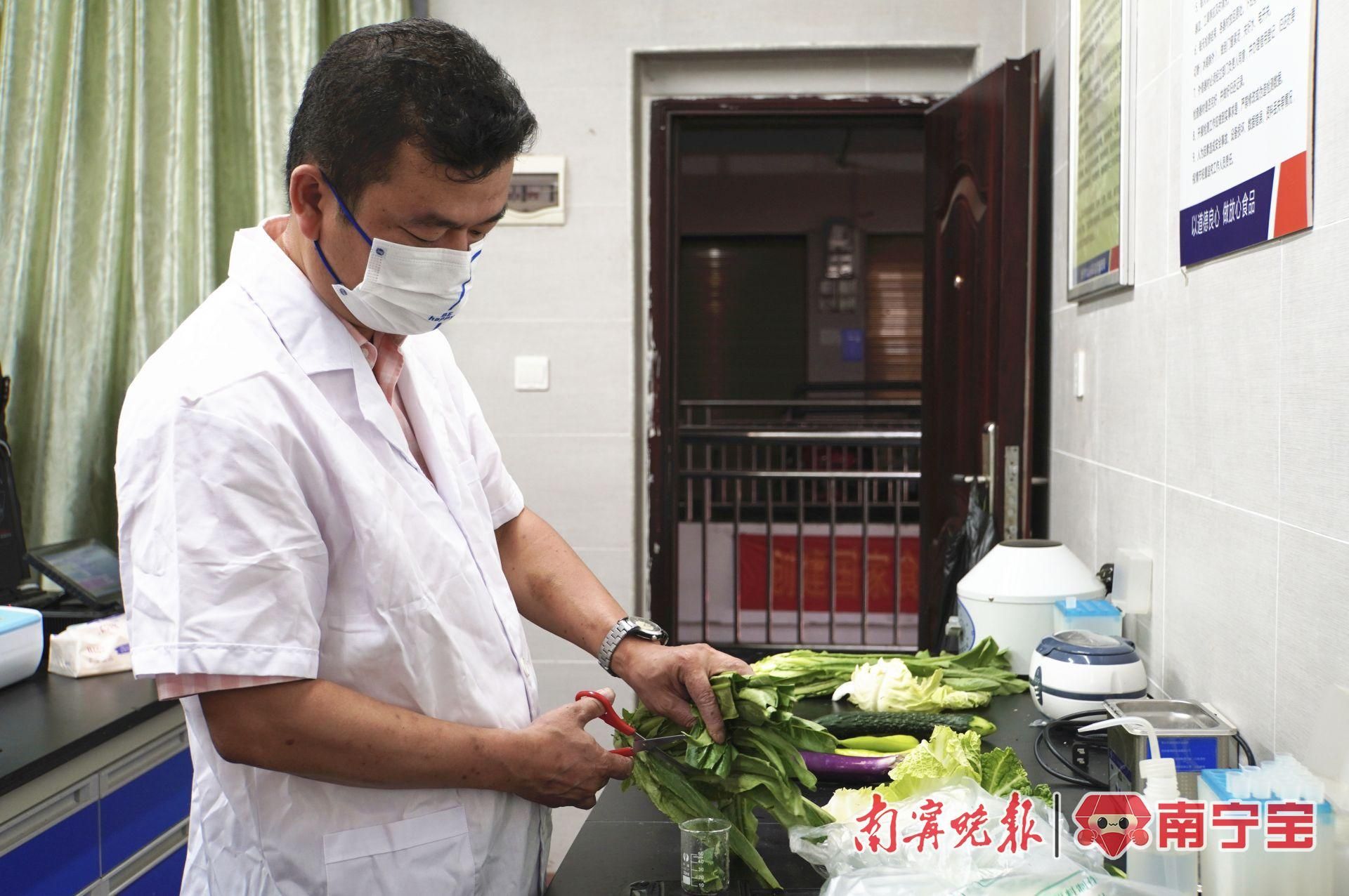 阳光早餐流动摊点项目,阳光早餐摊位怎么样