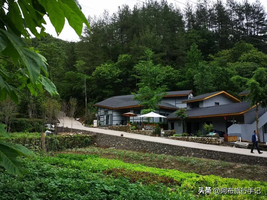 还没来得及去日本，却在秦岭来了趟值回东京票价的旅行