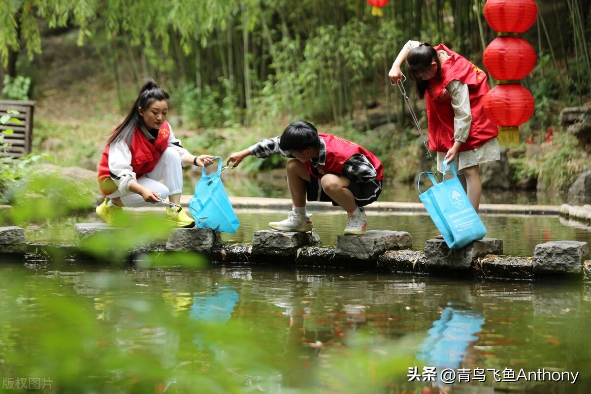 绿色是发展的最美底色,绿色生态与和谐共生