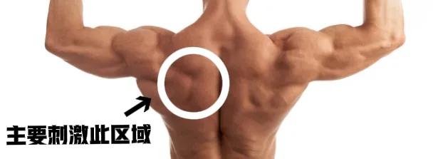 练肩膀和背的力量训练哑铃健身房,哑铃瘦胳膊瘦背最有效的运动