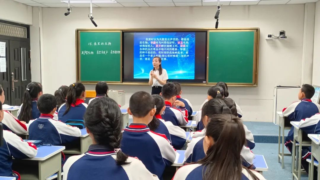 核心素养下大单元教学课例研究,如何聚焦核心素养落实大单元教学