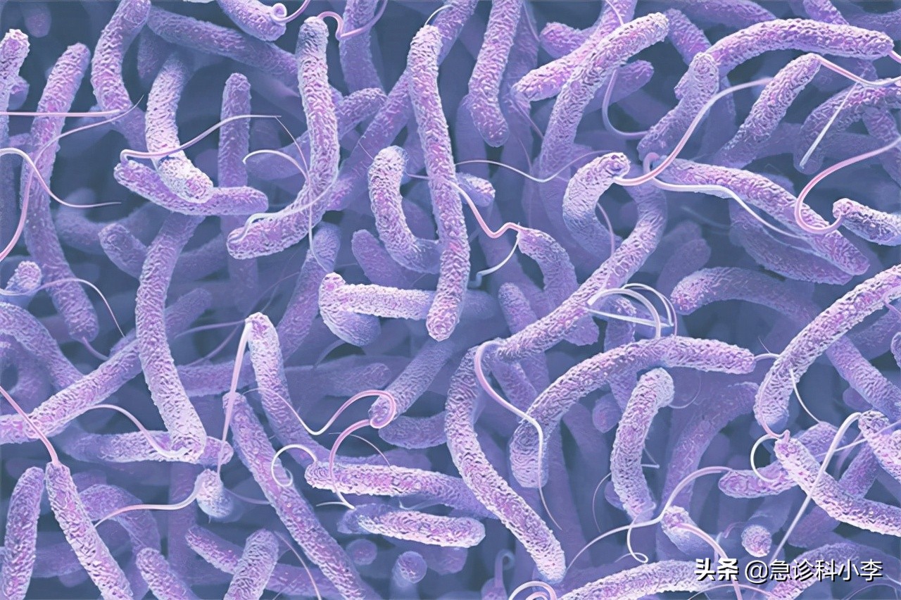 幽门螺杆菌导致的胃癌如何治疗,幽门螺杆菌根除了还会得胃癌吗