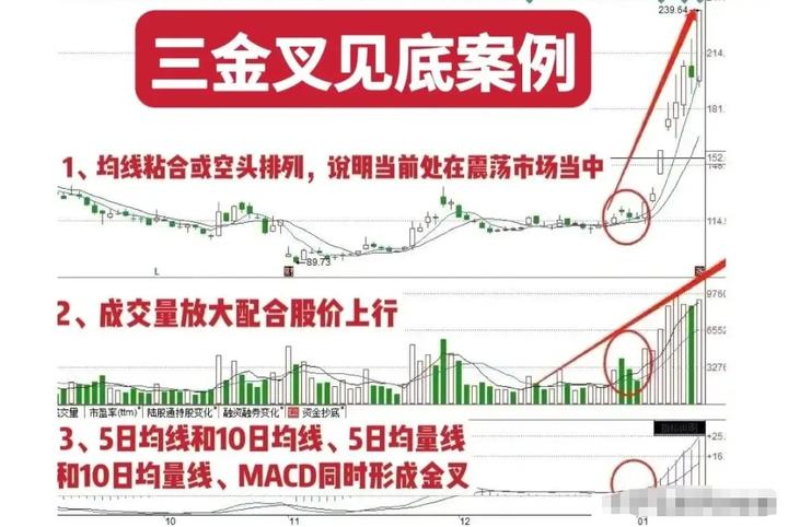 在股市散户需要注意什么,股市低迷时如何炒股