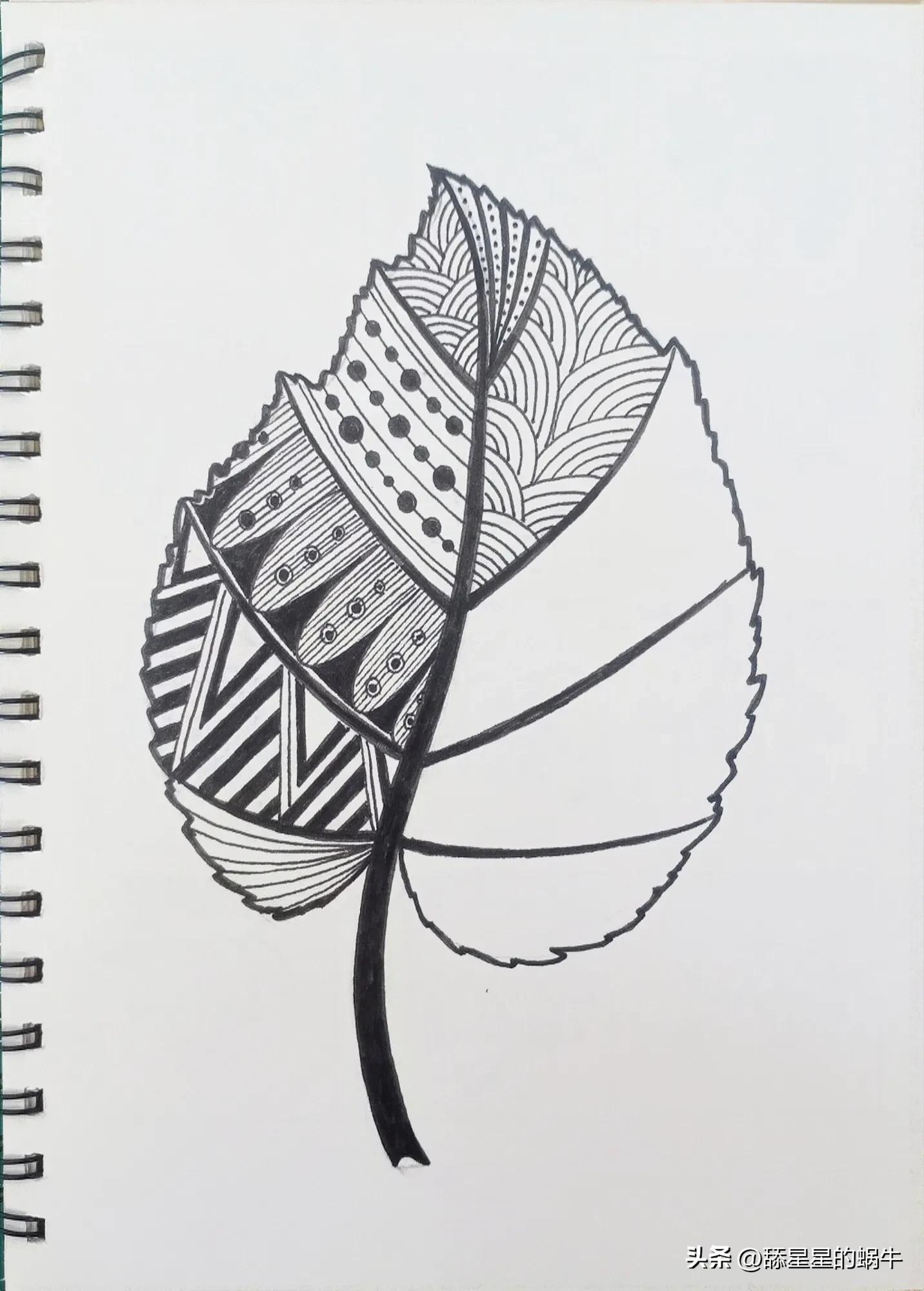 树叶黑白线描画简单花纹,点线面的树叶创意线描