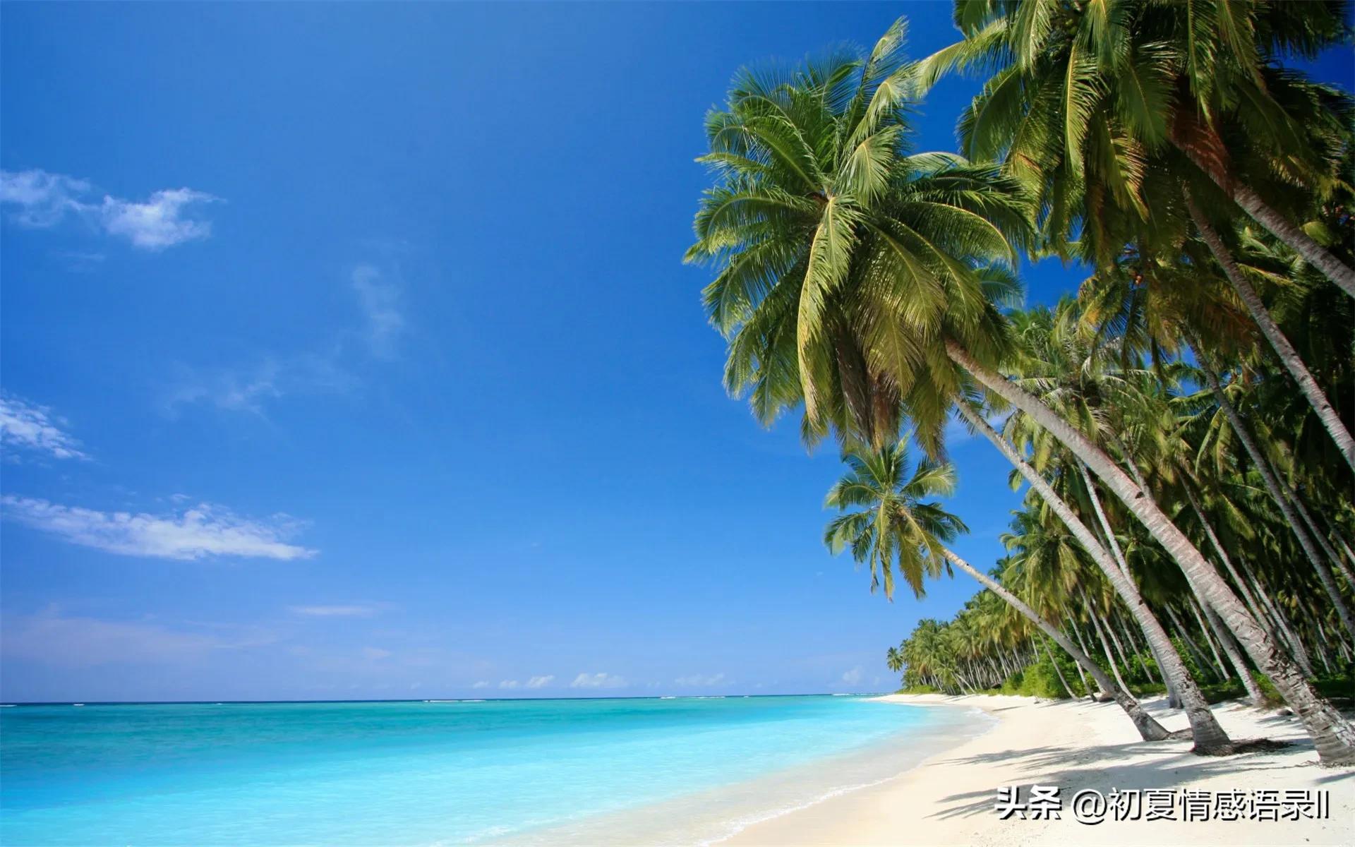 致自己感悟人生说说短句,致自己感悟人生说说