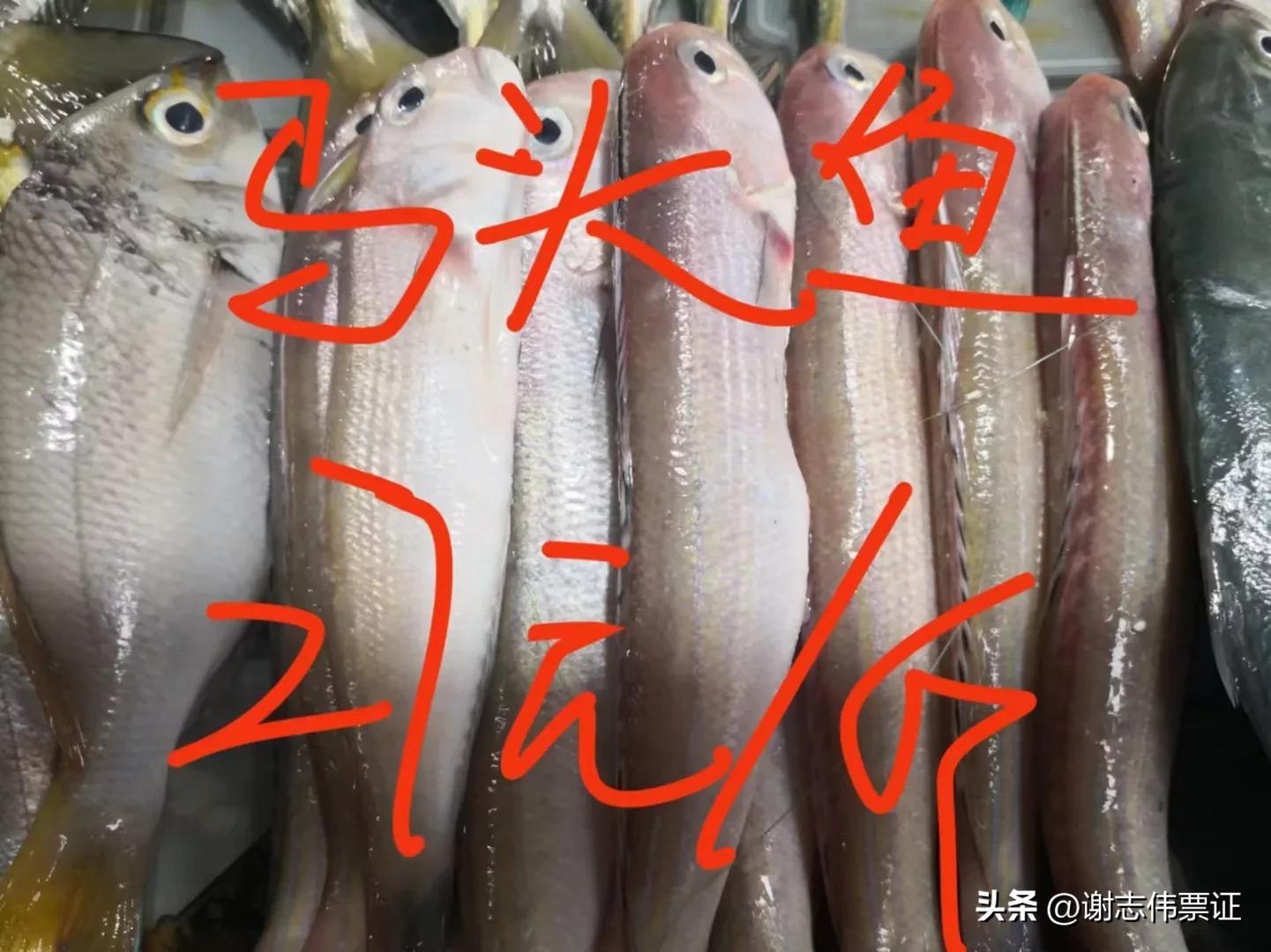 海南风情（015）上埇村海鱼价目知多少