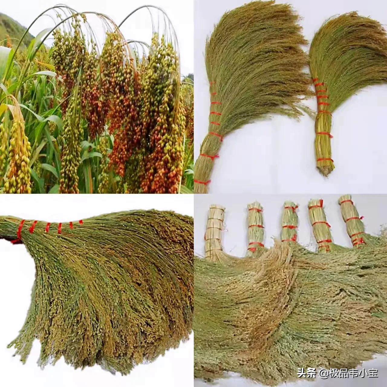 老家过年仪式感视频,家乡老宅布置过年气氛