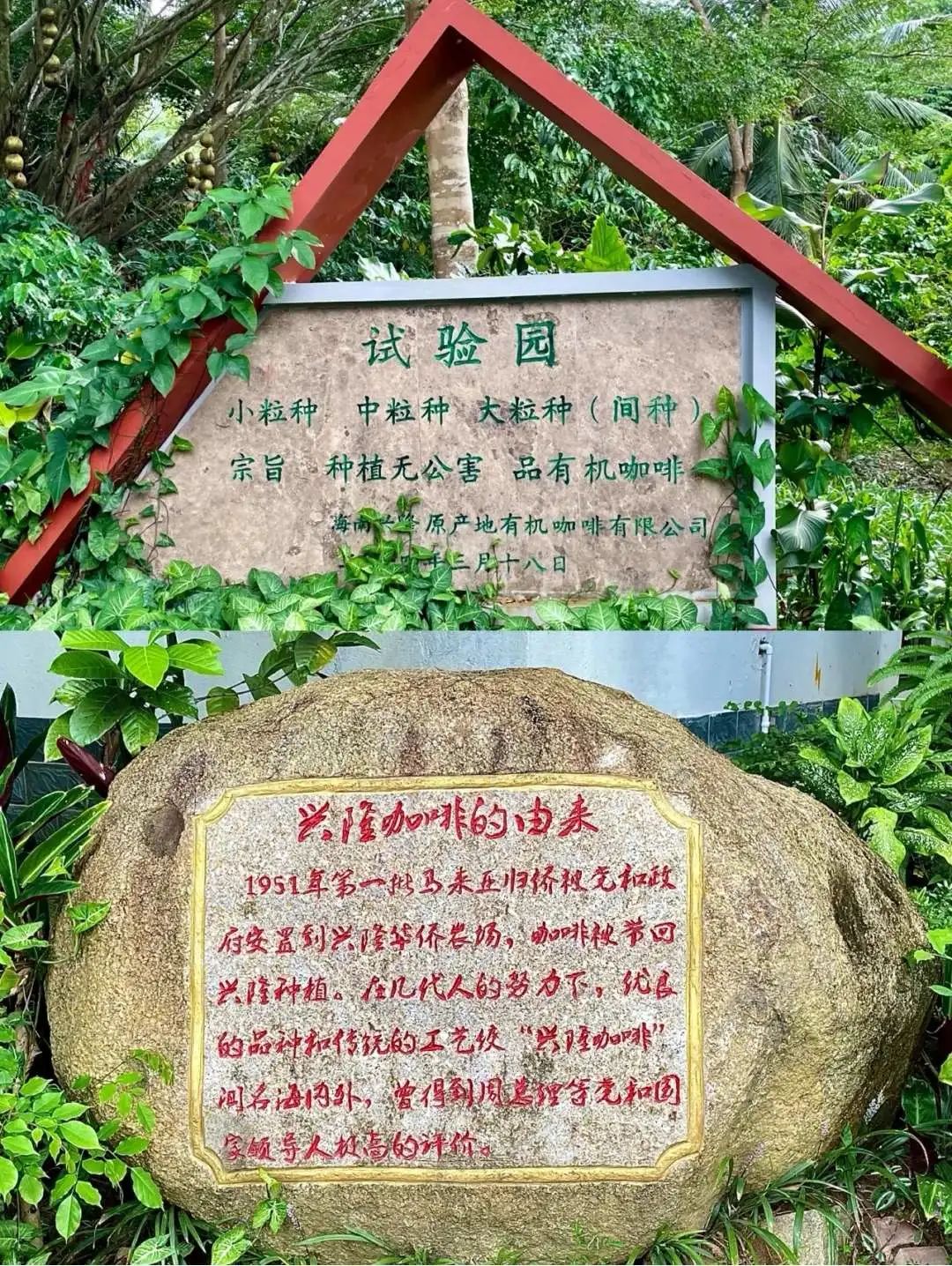 海南三亚旅游攻略景点大全,三亚蜜月旅游攻略7天费用