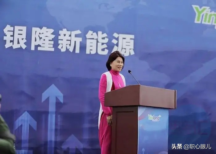 董明珠和王健林投资银隆怎么样,董明珠王健林马云入股银隆