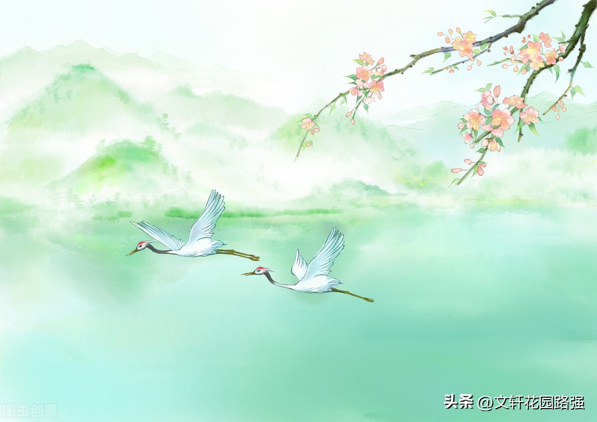 古诗清平乐经典诗句,清平乐100首诗词原创