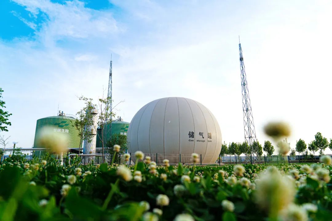 农村池塘沼气项目,农村沼气效果图