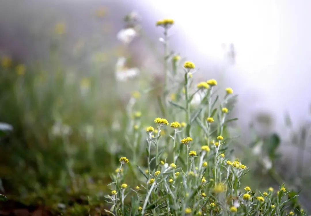 醉美偏坡美食团购,醉美偏坡海鲜烧烤