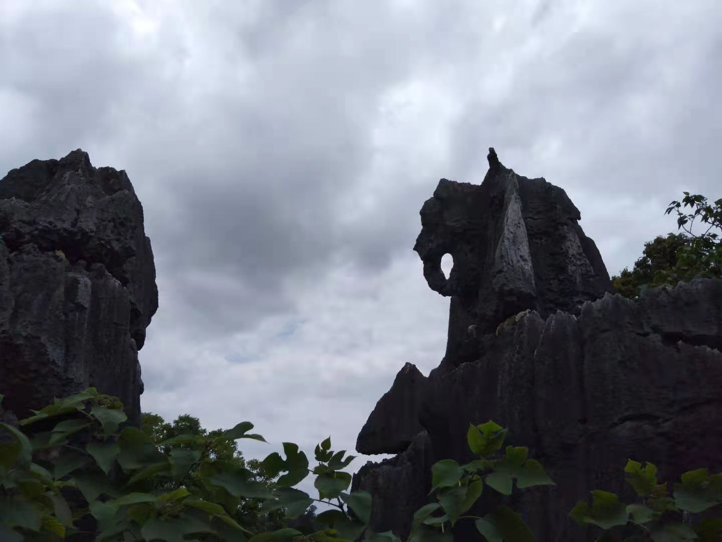 石林印象酒,石林印象大酒店