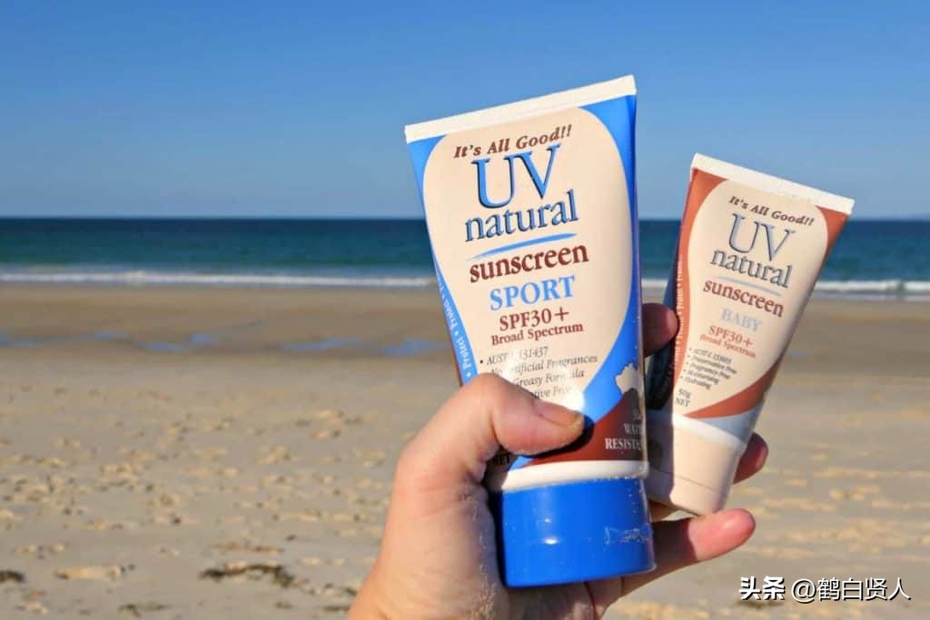 蓝藻的前世今生,蓝藻前世今生