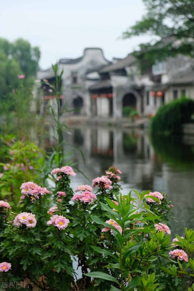 怎么算优惠多少折,如何申请免门票