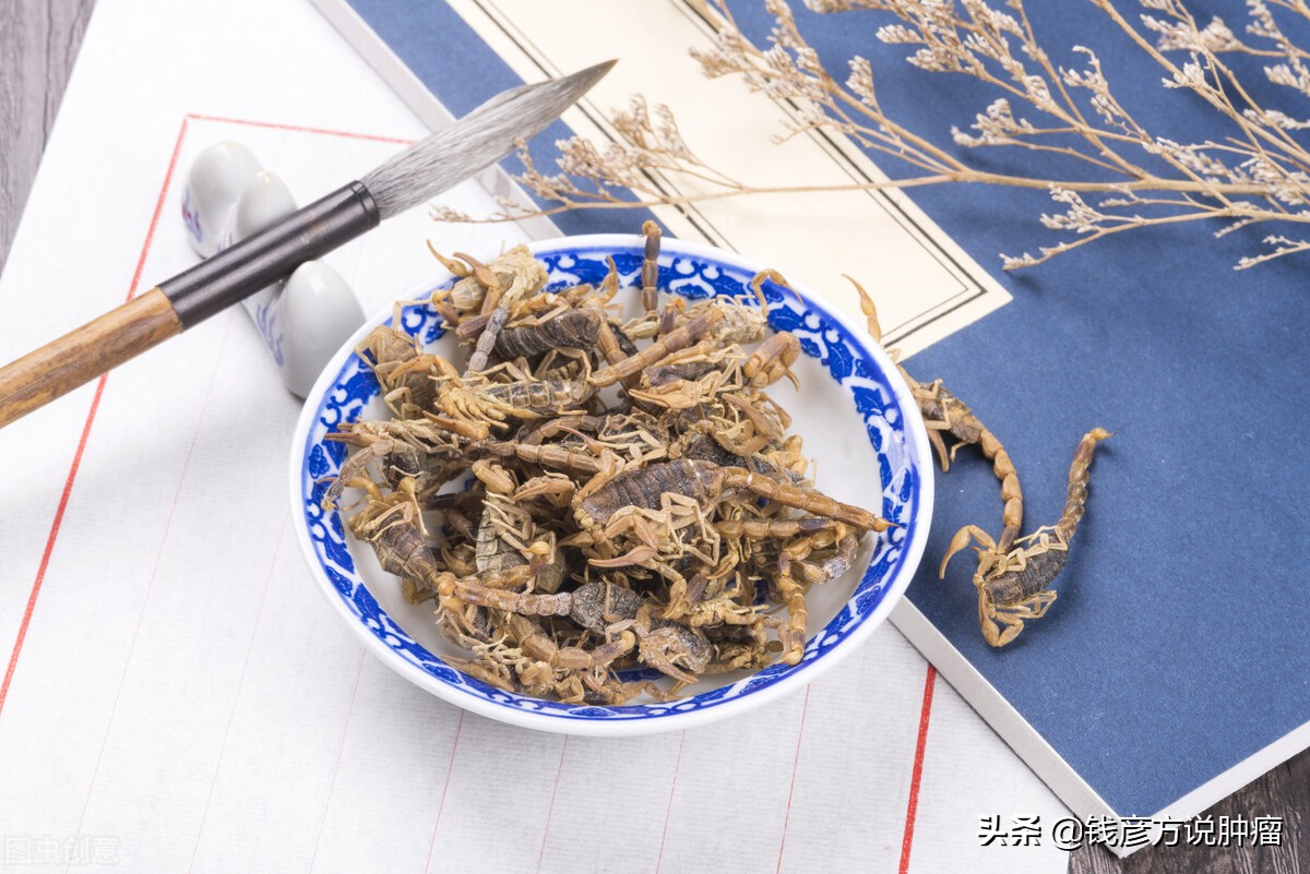 有一种治百病的虫子,自然世界的寄生虫