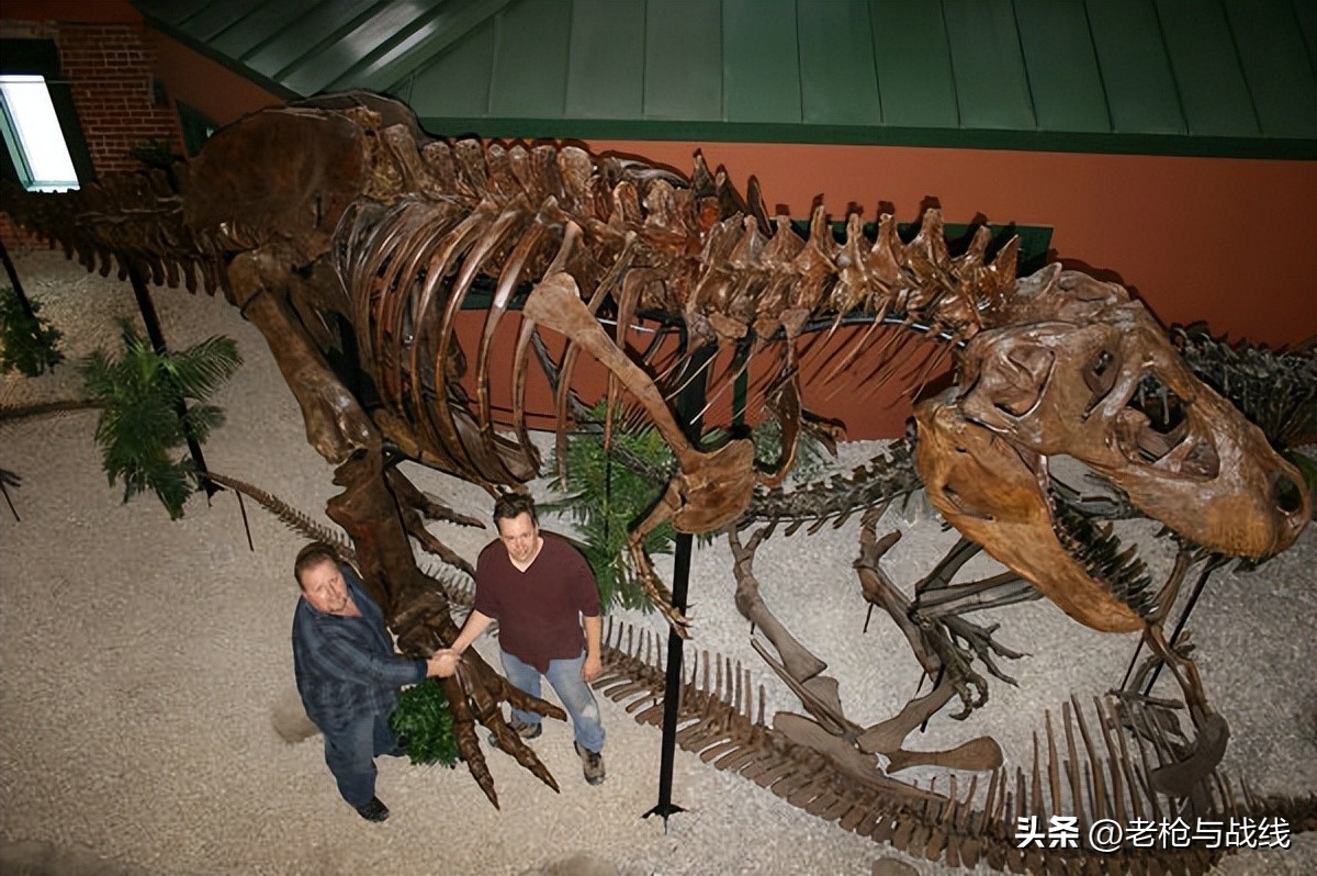 如何制作霸王龙骨架,用硬纸板做霸王龙骨架教程