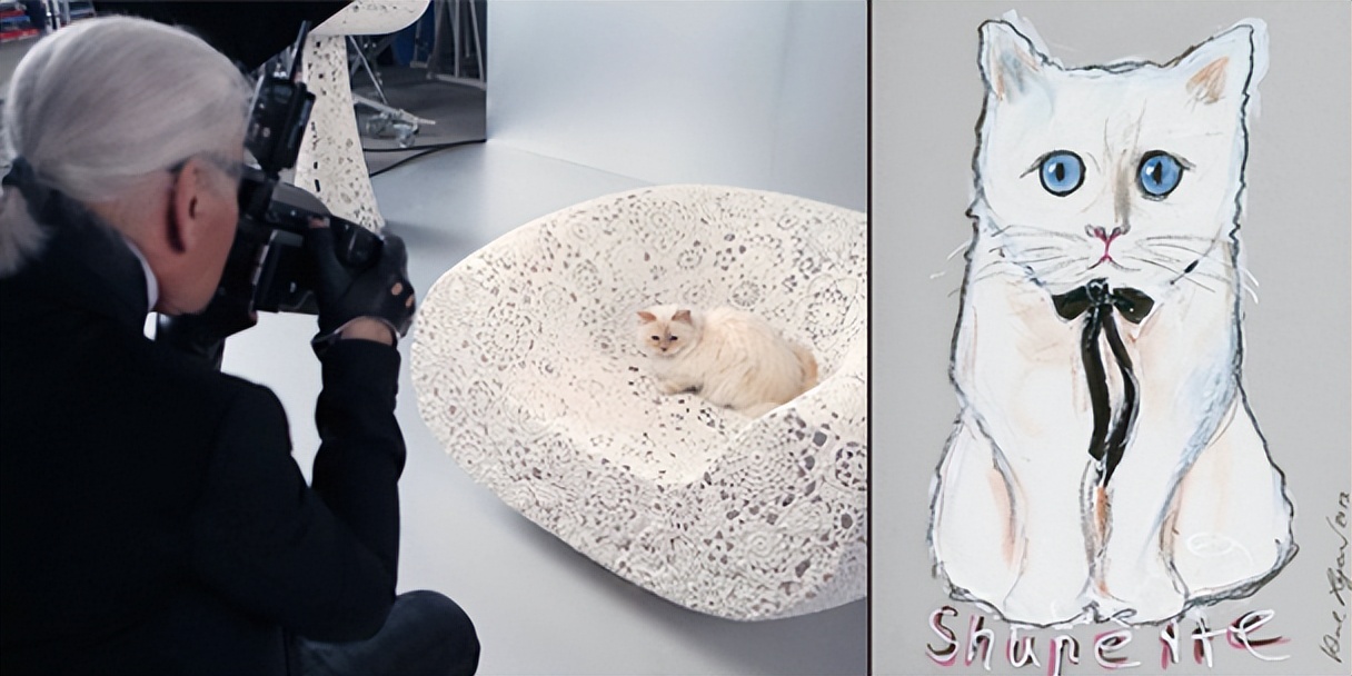 刘雯邓文迪,邓文迪杨紫琼