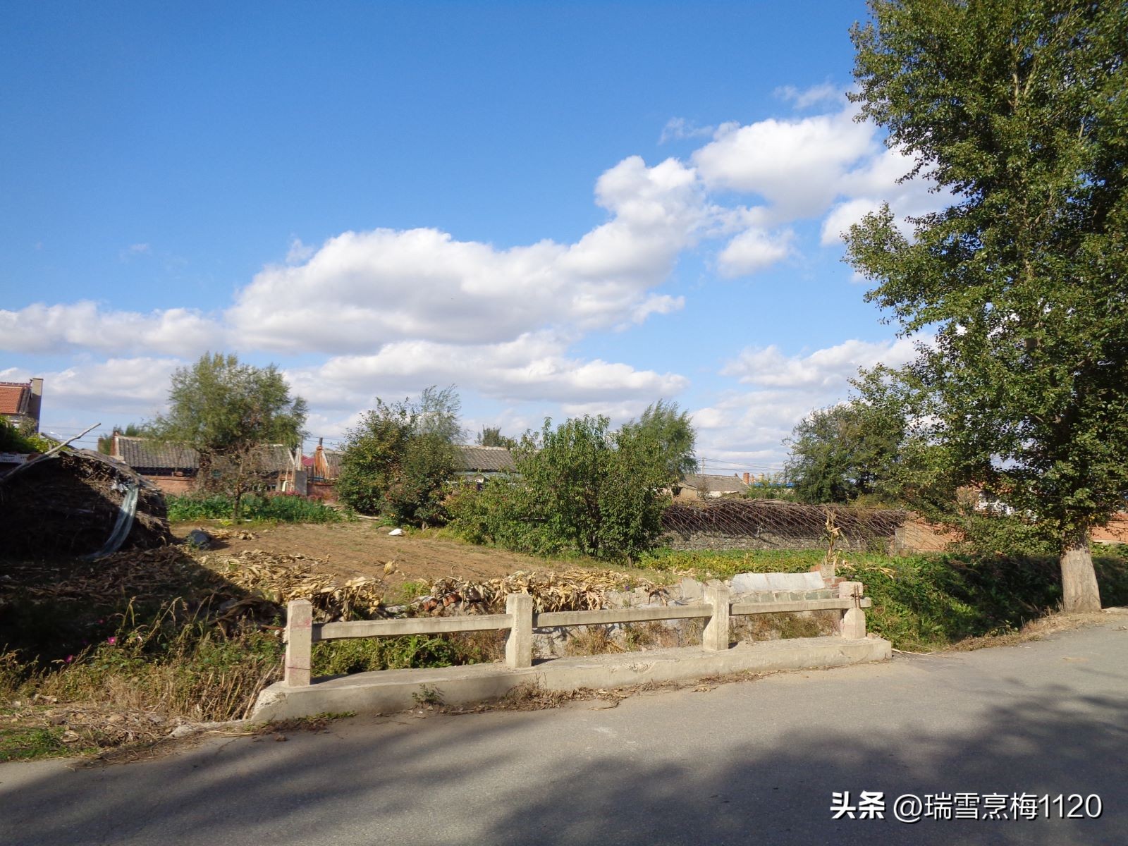 地名档案|旁新线公路沿线村庄之四：沈北新区马刚街道依路村