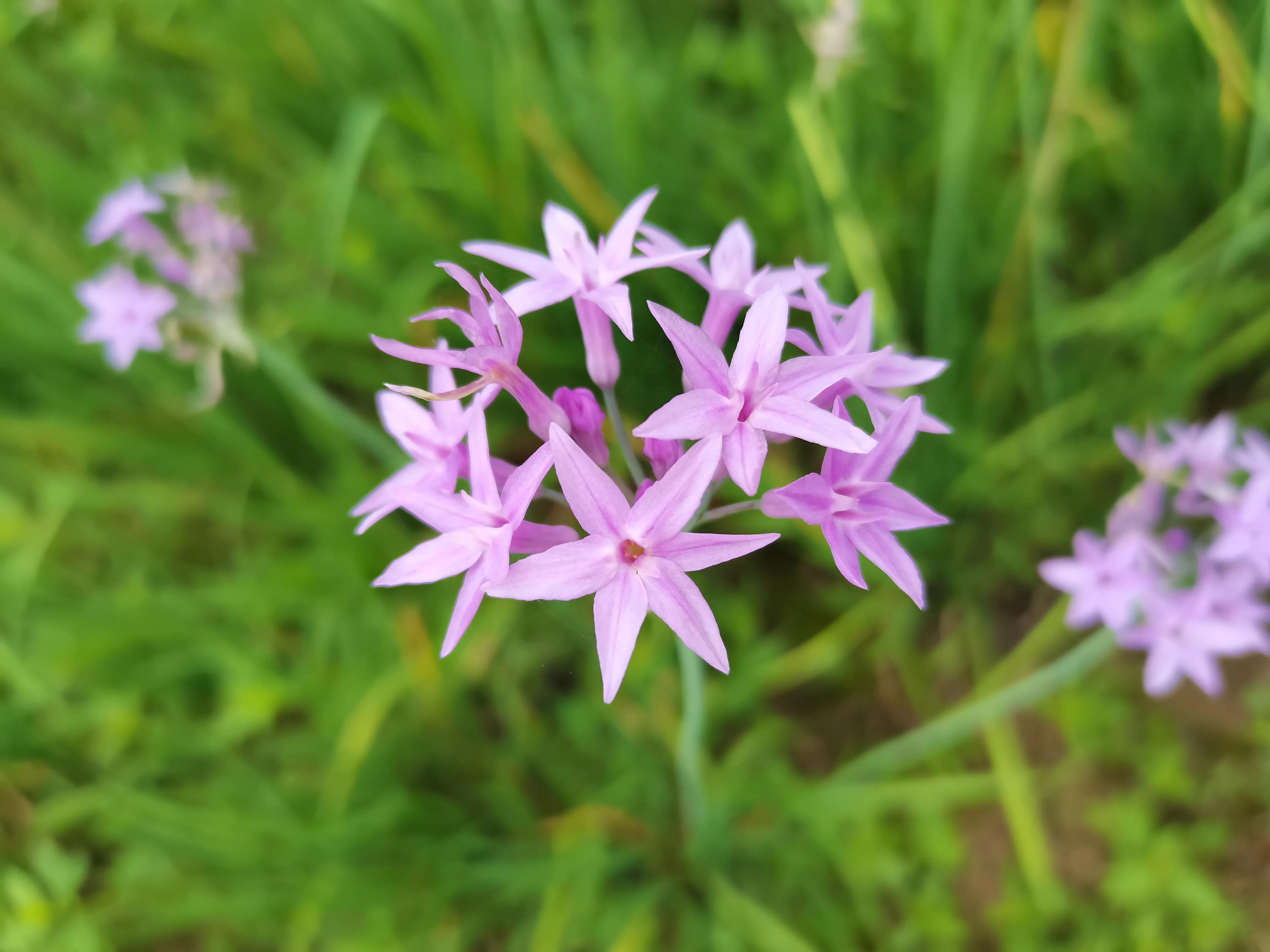 写作没思路写不下去三个步骤,没有兴趣学习和写作业怎么办