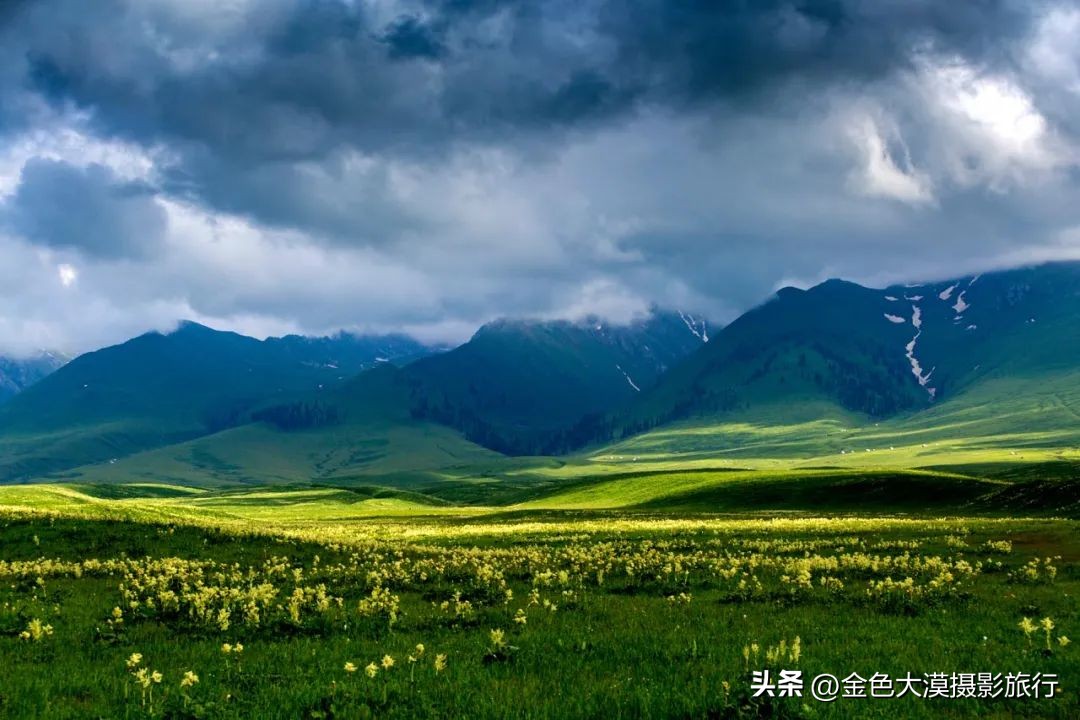 新疆的北疆南疆伊犁哪个最好玩,新疆的伊犁旅游区