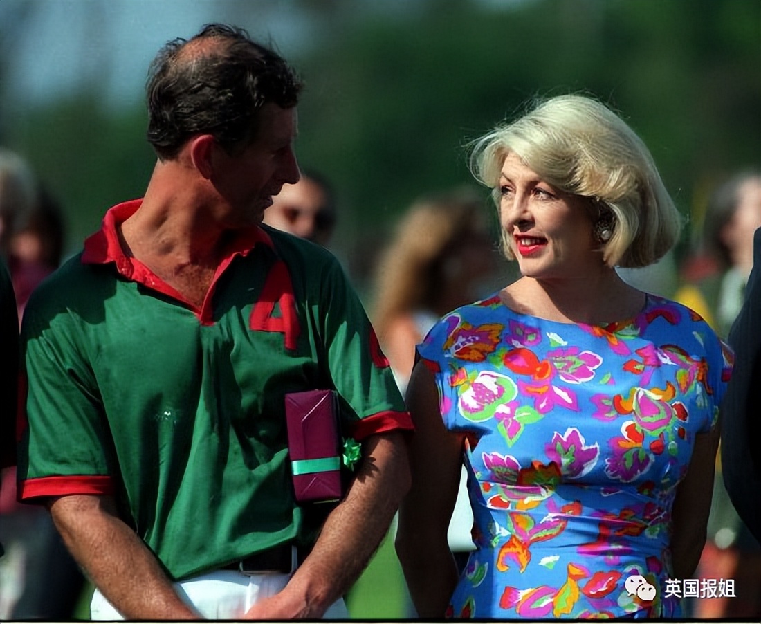 查尔斯另一个结局是什么,查尔斯和戴安娜斗争