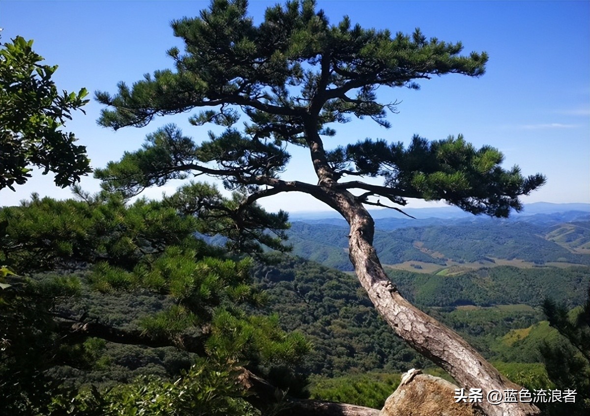 辽宁这边天气是好冷吗,辽宁四季如春的县