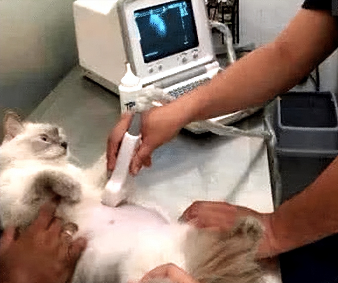 叶酸备孕怎么吃才正确,备孕期正确吃叶酸的方法