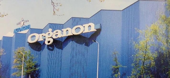 致力女性健康，再出发：百年底蕴Organon的前世今生