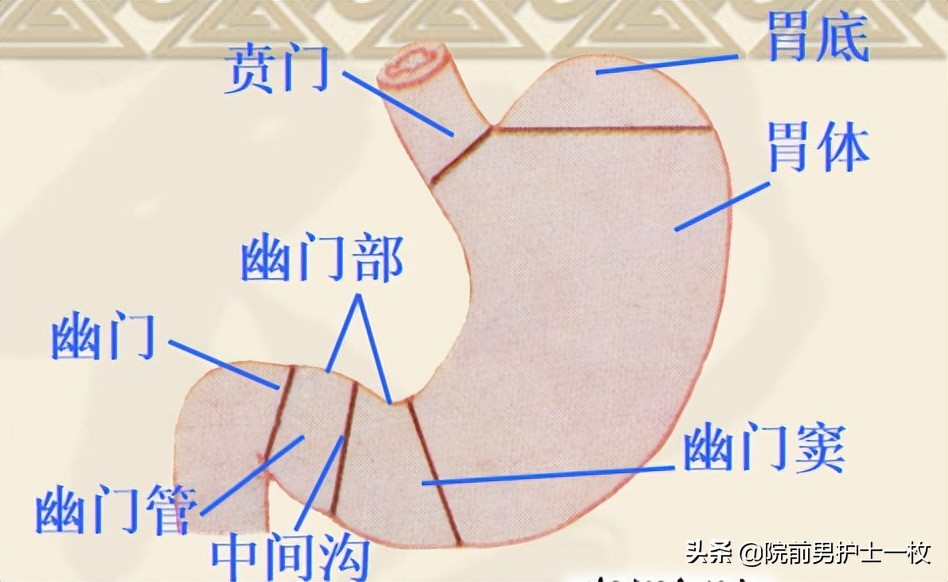 呕血病人紧急护理评估要点,急救人出血怎么处理