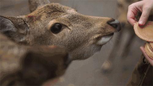 母亲节来打卡|长春电影嘉年华又上新啦！这份攻略请收好→