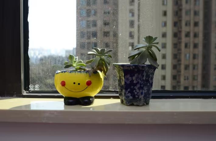 大蒜上涂牙膏,牙膏挤在大蒜上用处