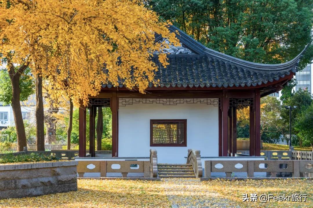 秋季苏州最值得打卡的地方,苏州秋天网红打卡地公园