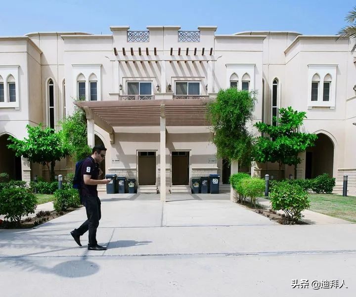 沙特最好的大学是哪个,沙特有哪些大学