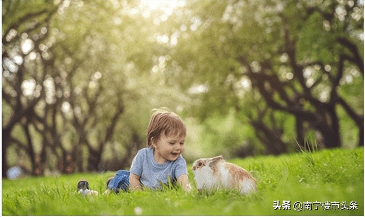 五象楼盘好吗,五象总部基地最好的楼盘