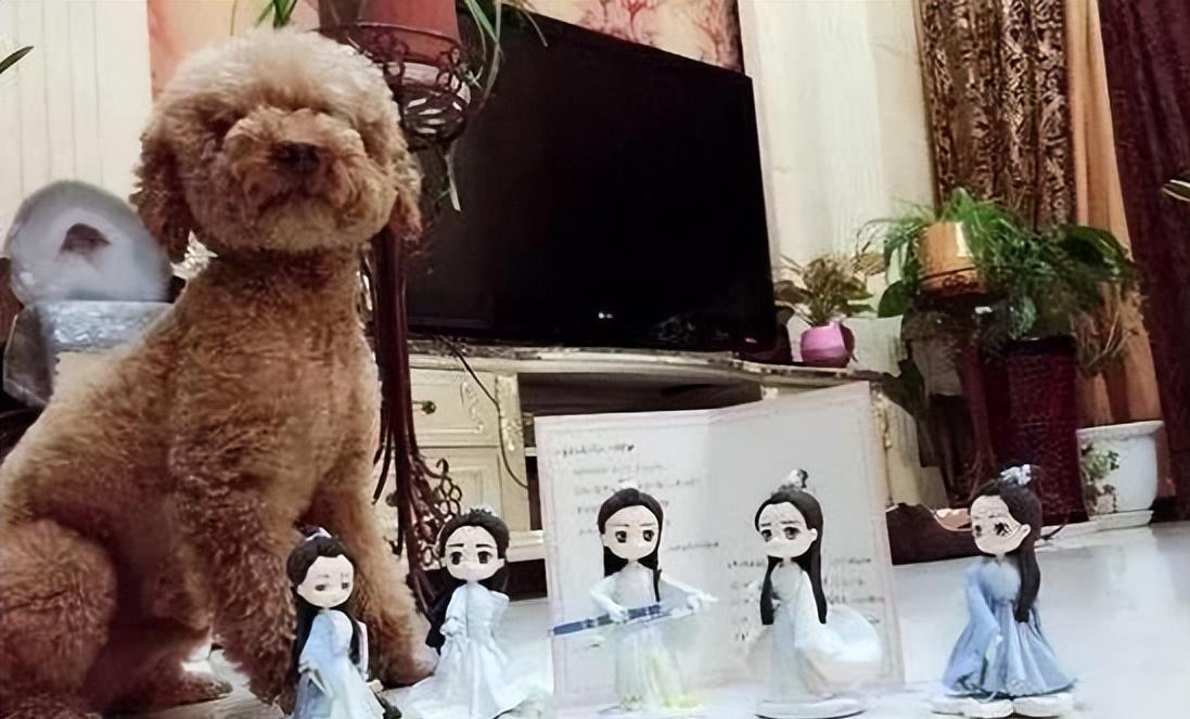 杨紫成顶流女星,杨紫算顶流艺人