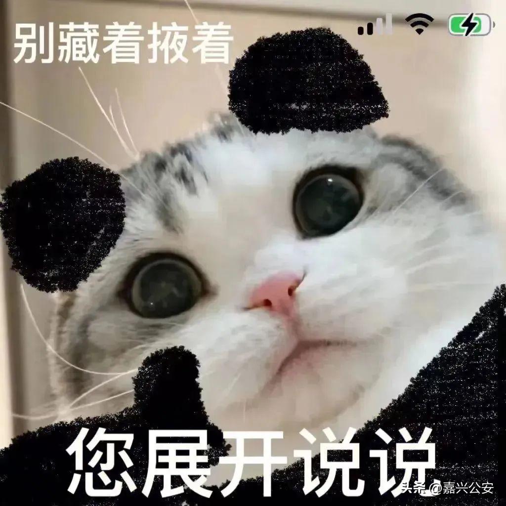 2023年事业编招聘岗位嘉兴,嘉兴事业编制招聘2023公告