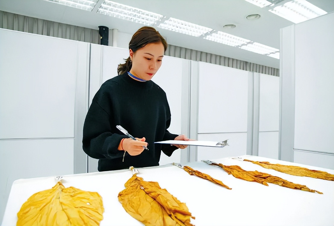 毕业生入职中国*草烟**,晒出工资条惹人羡慕,公积金太“秀”了