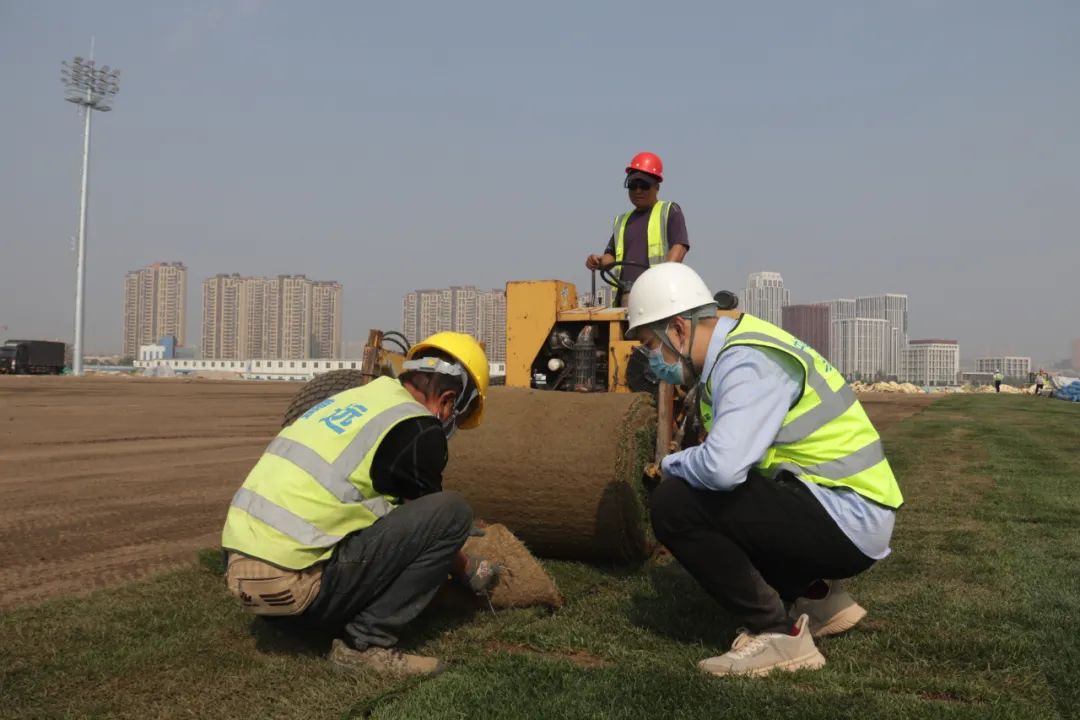 大连梭鱼湾足球场草坪,大连梭鱼湾足球场惊艳亮相