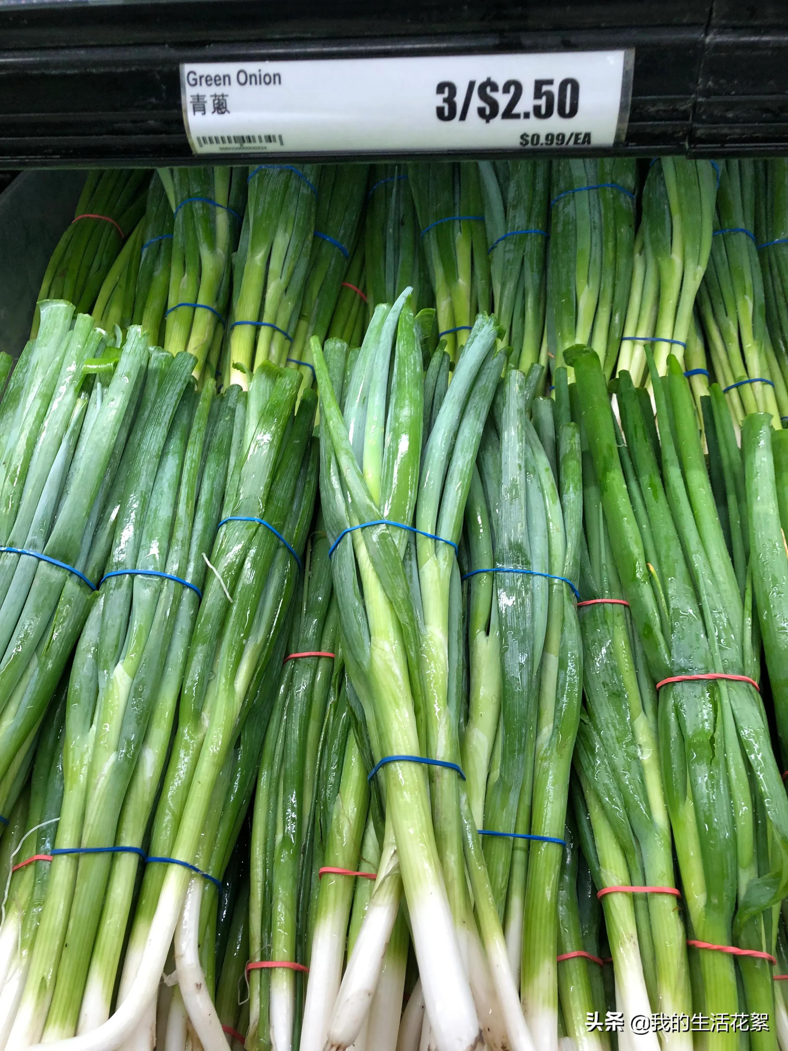 加拿大安大略省的物价,加拿大多伦多生活费多少钱