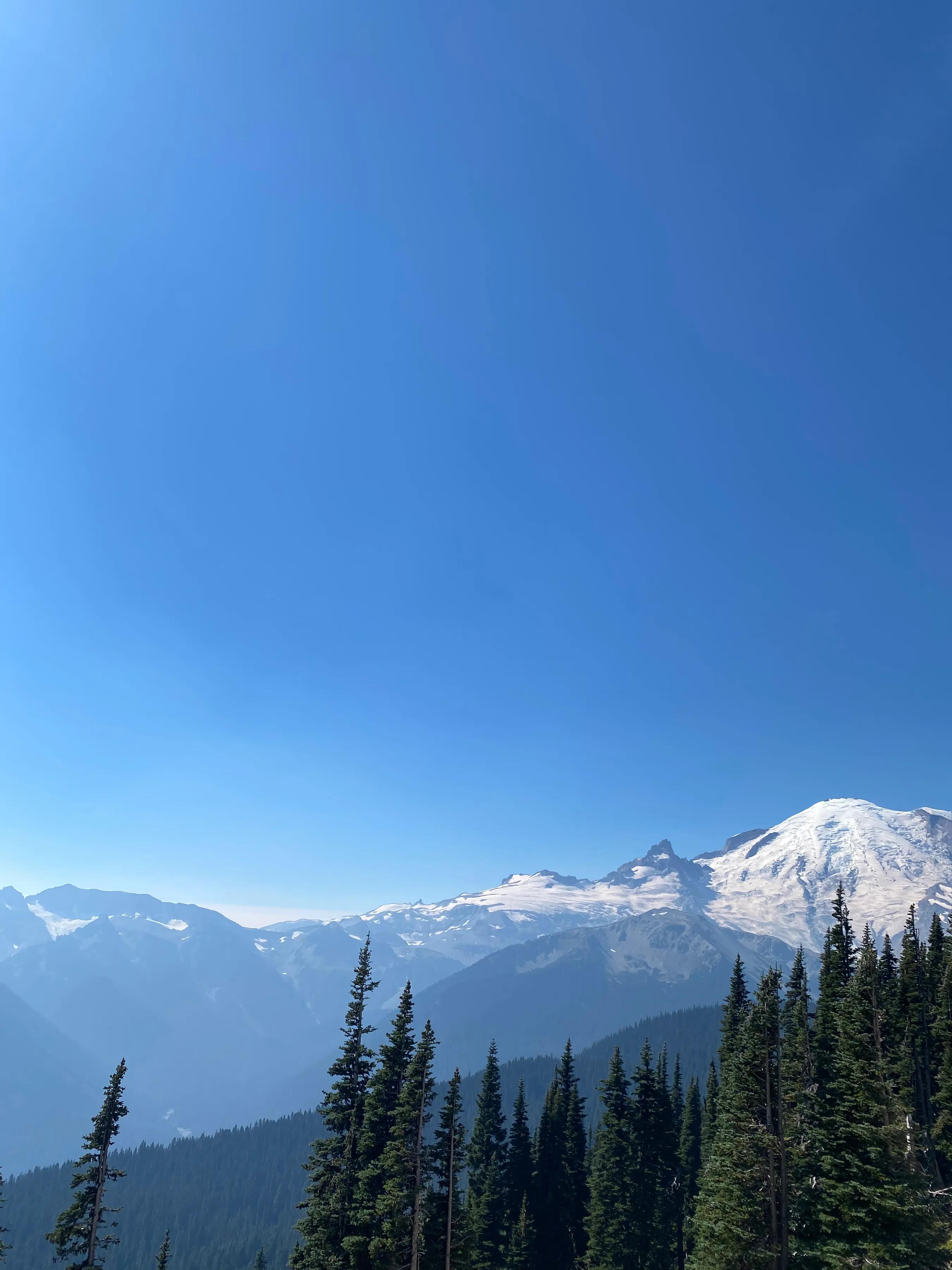 播放西雅图之旅,西雅图游记完整版