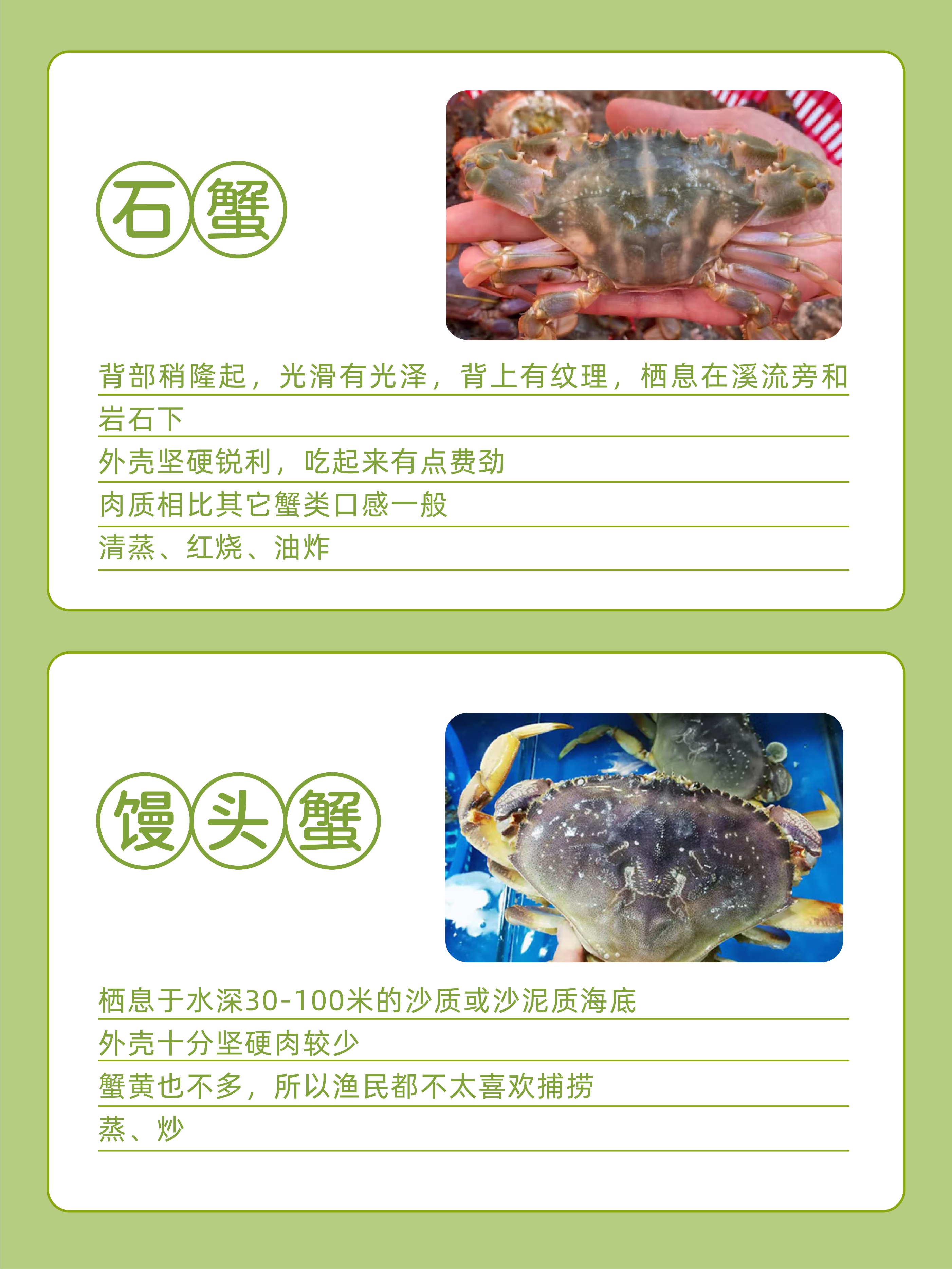 螃蟹的分类和食用方法,三亚常见的螃蟹种类