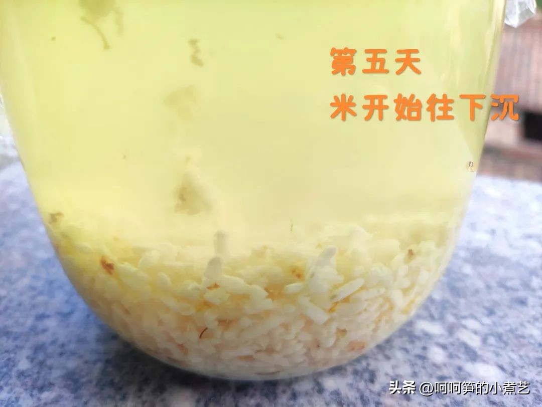 中秋将至,教你酿制桂花米酒,芳香醇厚,清爽怡人,满口都是花香