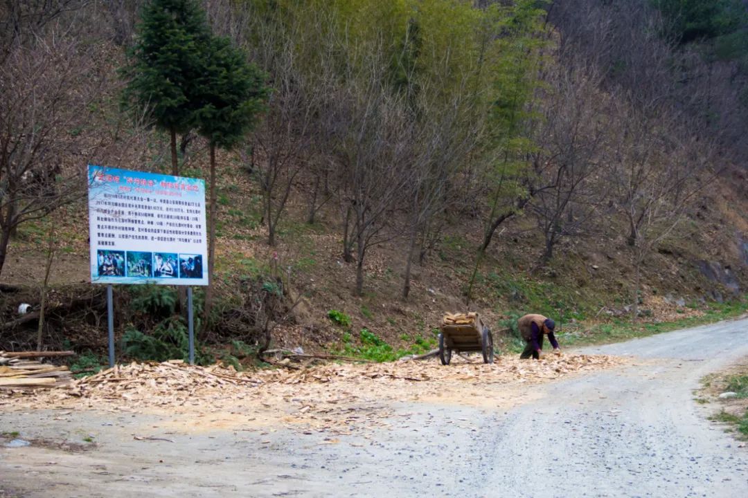 疫情让秦岭山村变得更加寂静，寻访秦岭坪沟，尽量不主动接触村民