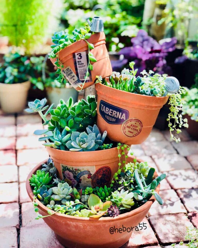 庭院花盆设计效果图,简单实用庭院花园造型图片大全